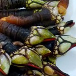 Ricos percebes